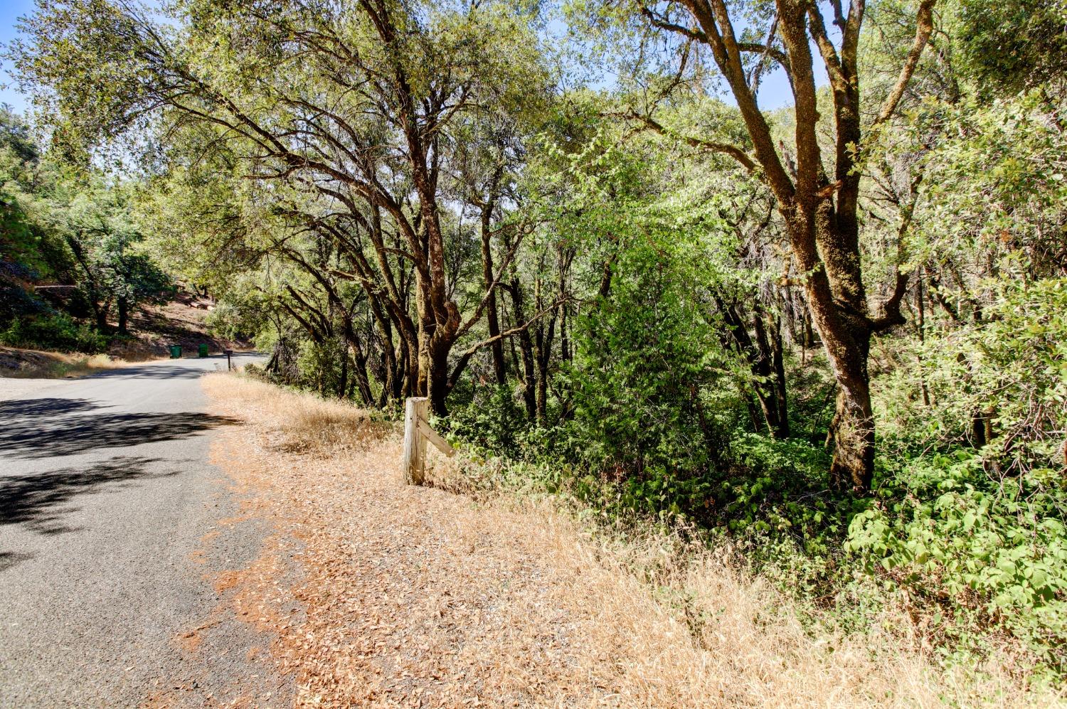 Pine Cone Circle, Grass Valley, California image 34