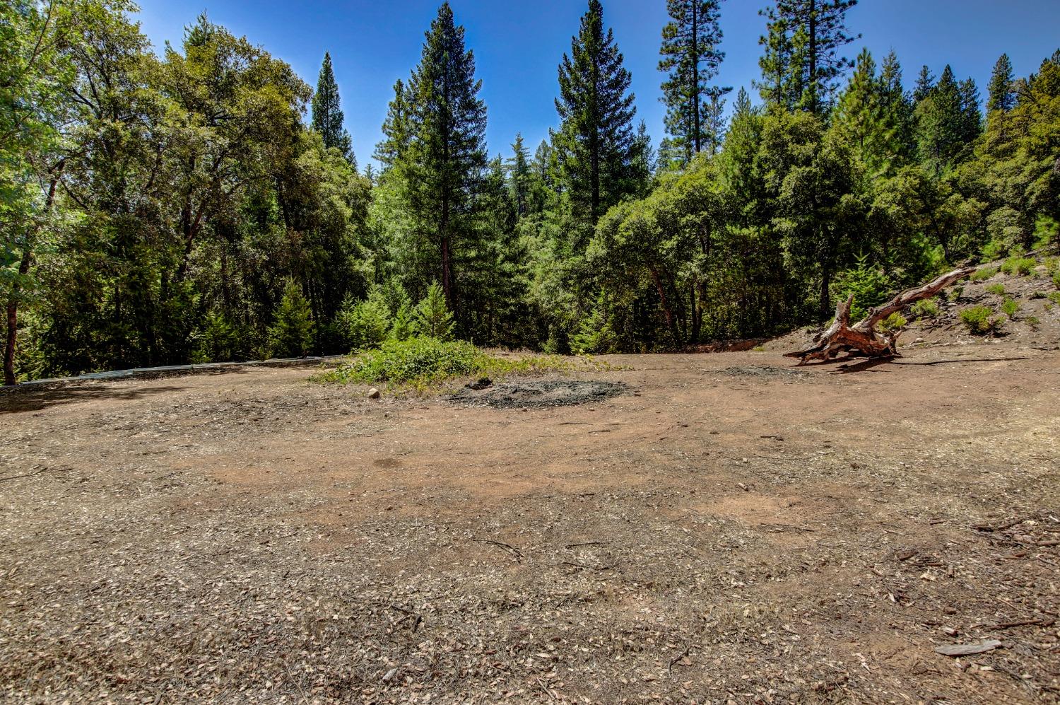 Pine Cone Circle, Grass Valley, California image 19