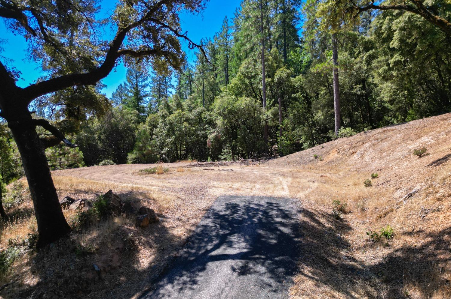 Pine Cone Circle, Grass Valley, California image 4