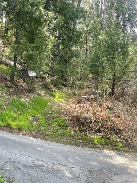 Robin Hood Drive, Twain Harte, California image 12