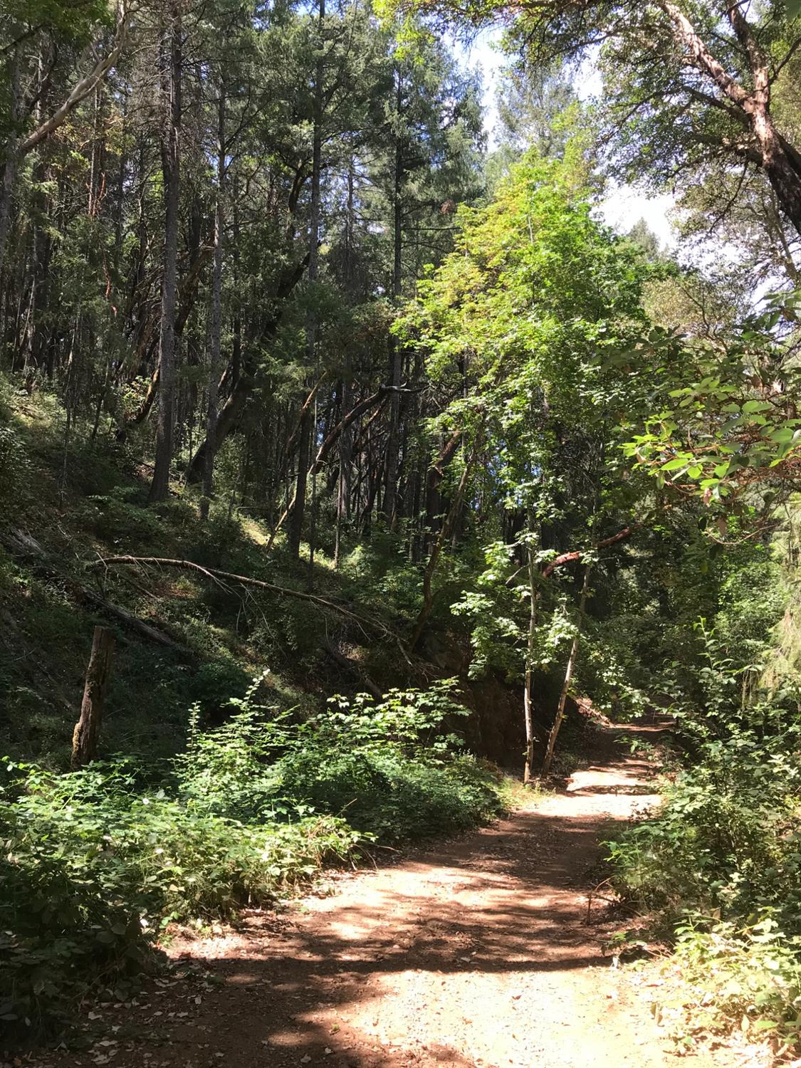 Photo of Chesters Pl in Pine Grove, CA