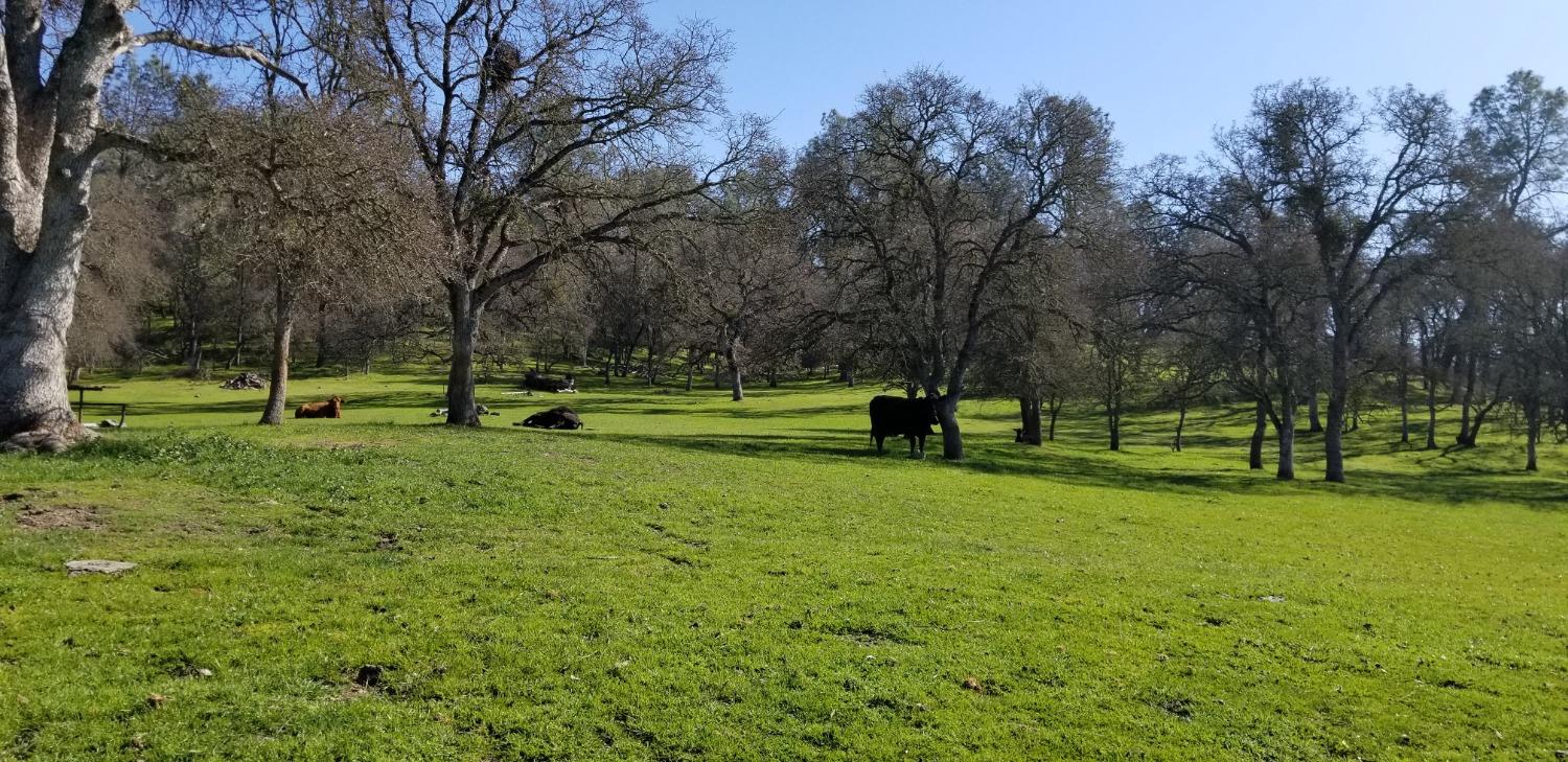 Llanura Drive, La Grange, California image 3