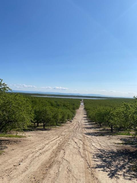 Hawkins Road, Denair, California image 6