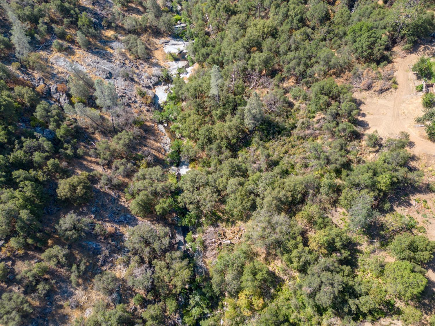 Cricket Hill Road, Mariposa, California image 46