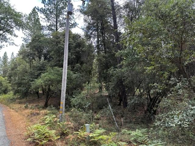 Photo of Manzanita Rd in Sutter Creek, CA
