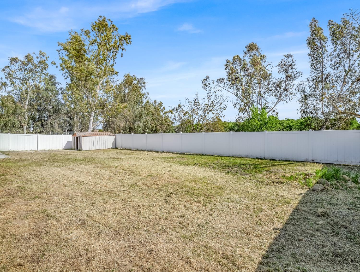 E Mount Whitney Avenue, Laton, California image 47