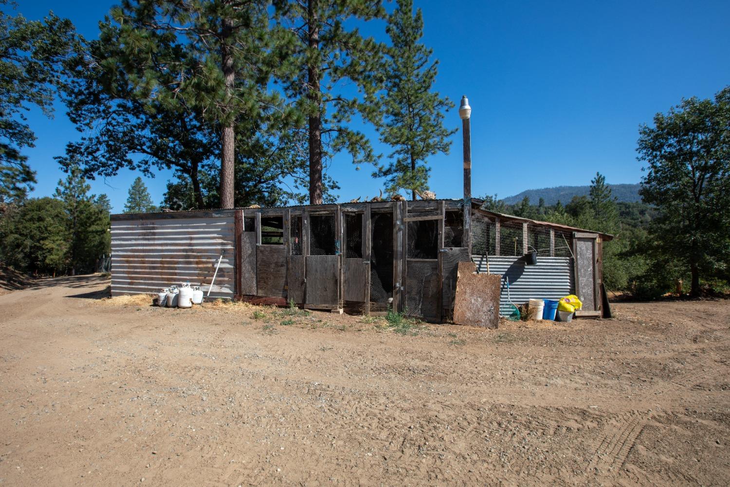 Cricket Hill Road, Mariposa, California image 34