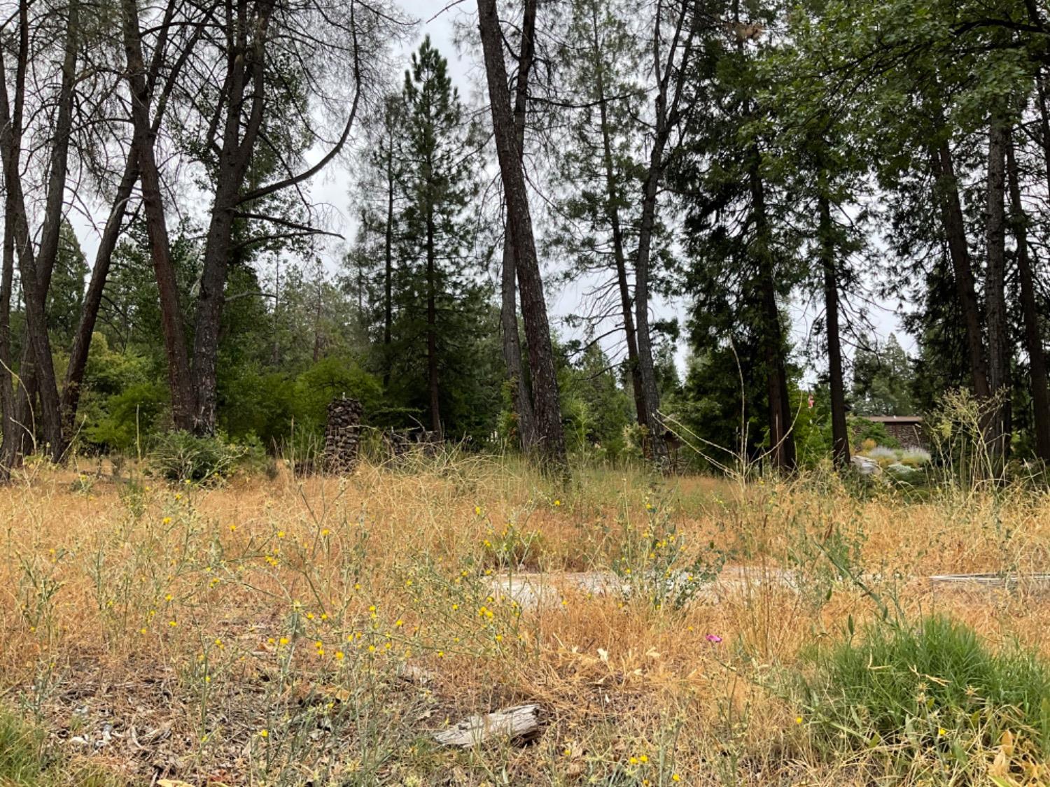 Photo of 89 Forest Meadow Dr in Murphys, CA