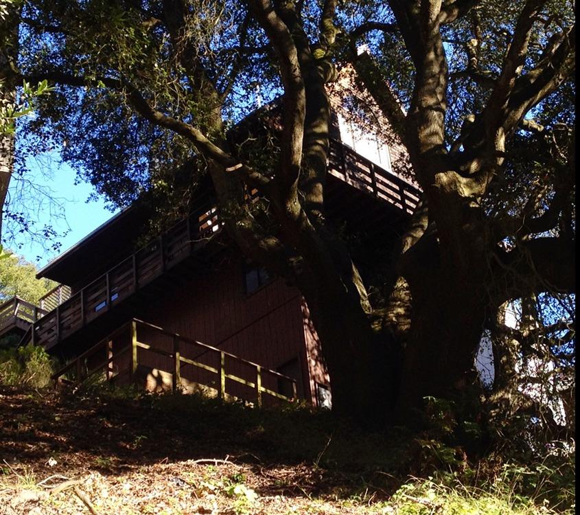 Photo of 6869 Oakwood Dr in Oakland, CA