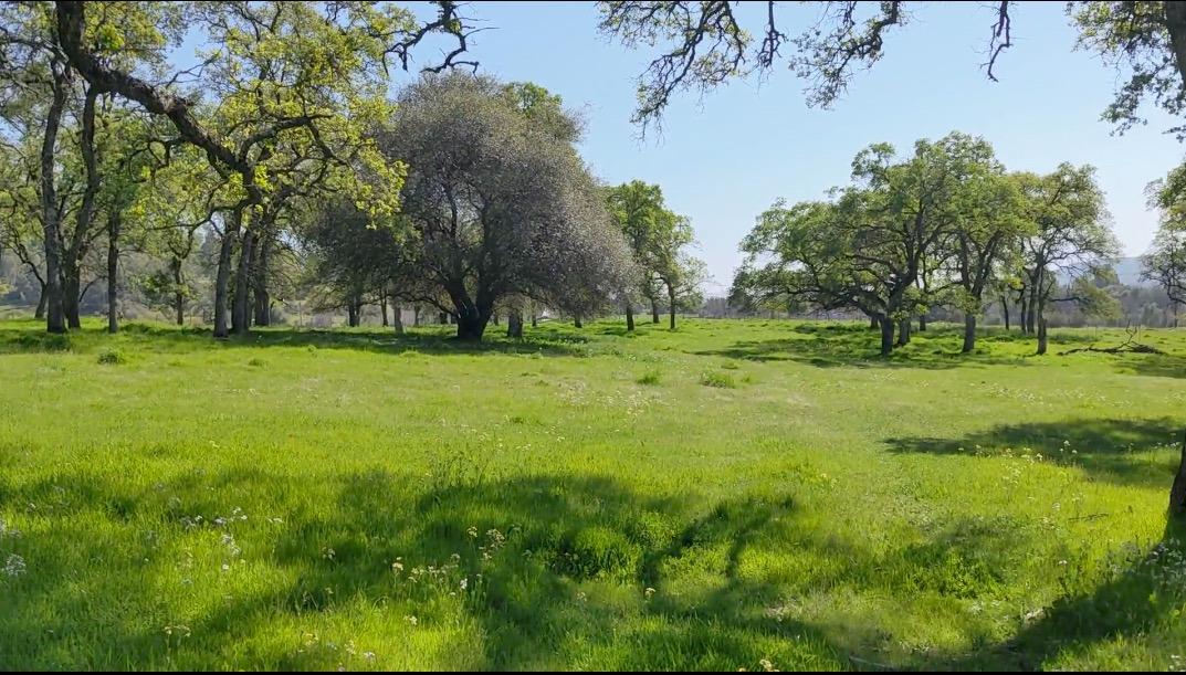 Photo of 11511 Dry Creek Ln in Browns Valley, CA