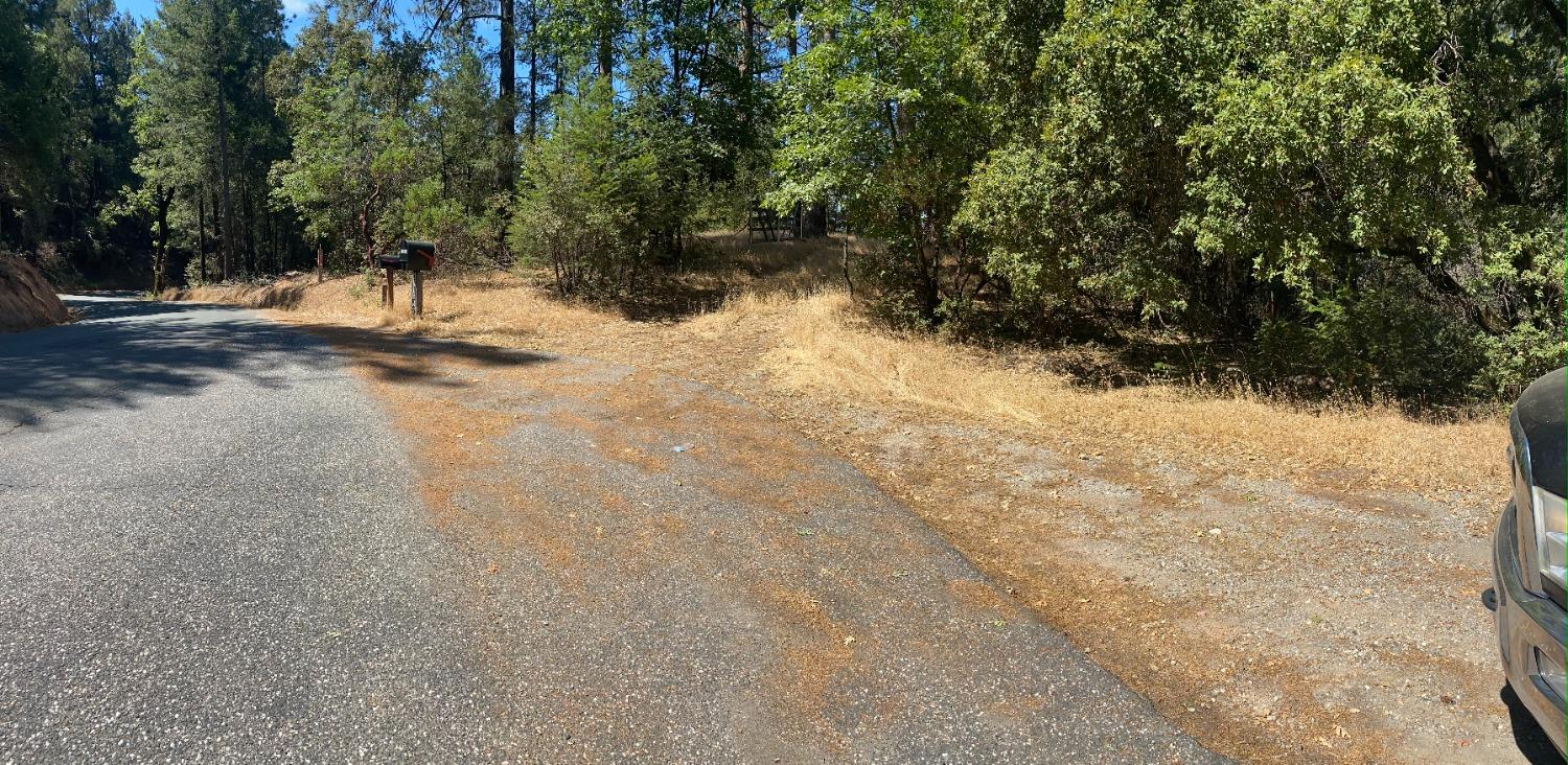 Norton Grade Drive, Colfax, California image 10