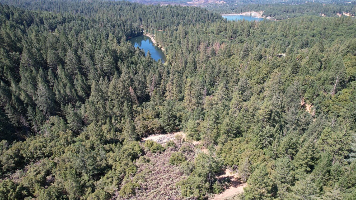 Norton Grade Drive, Colfax, California image 6