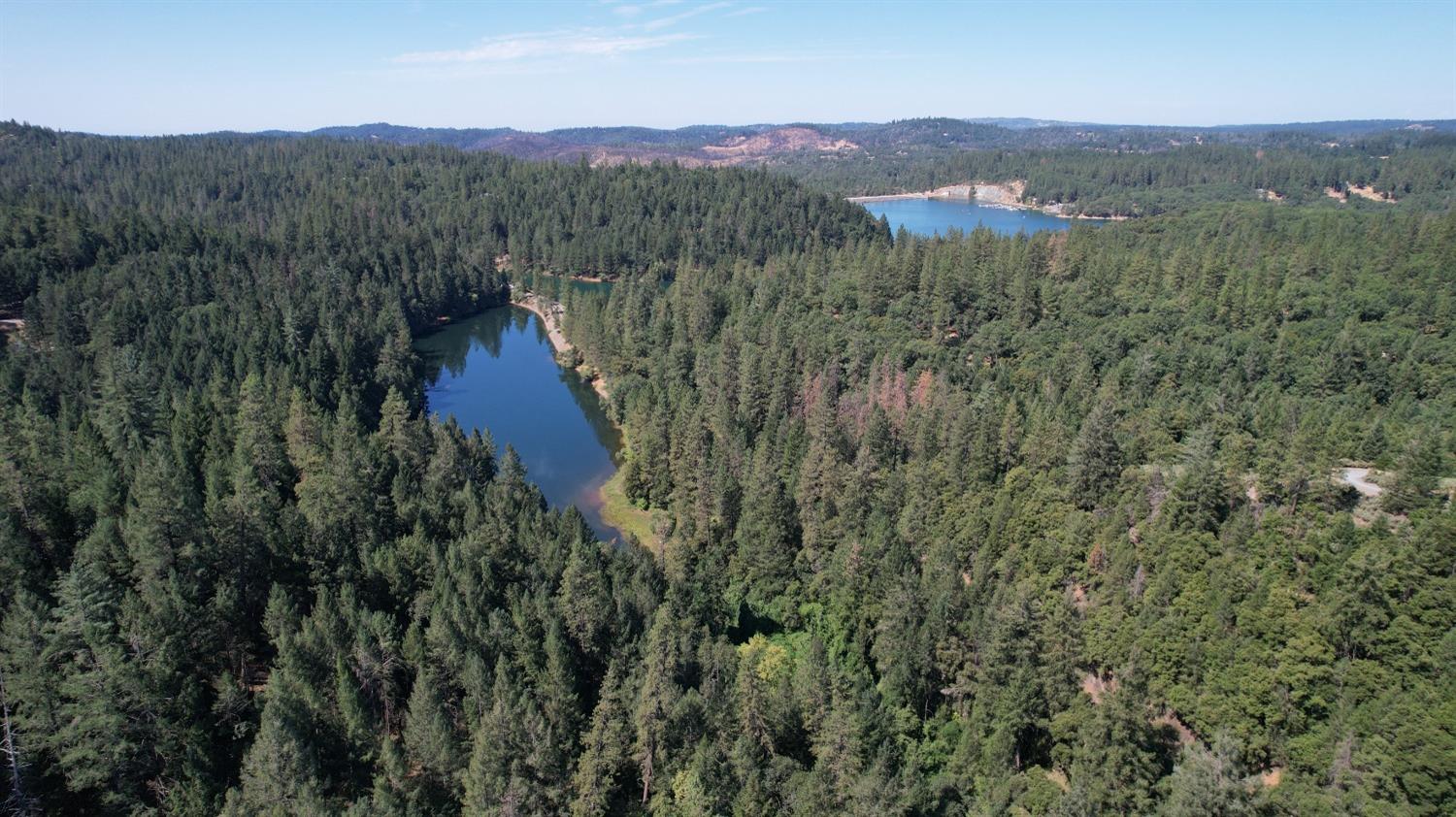 Norton Grade Drive, Colfax, California image 3