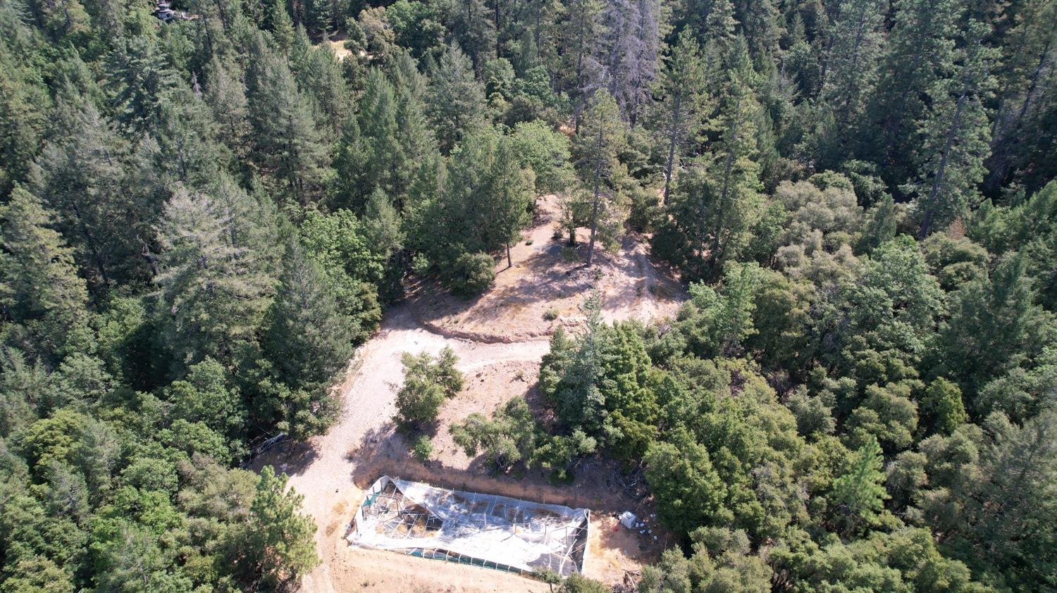 Norton Grade Drive, Colfax, California image 8