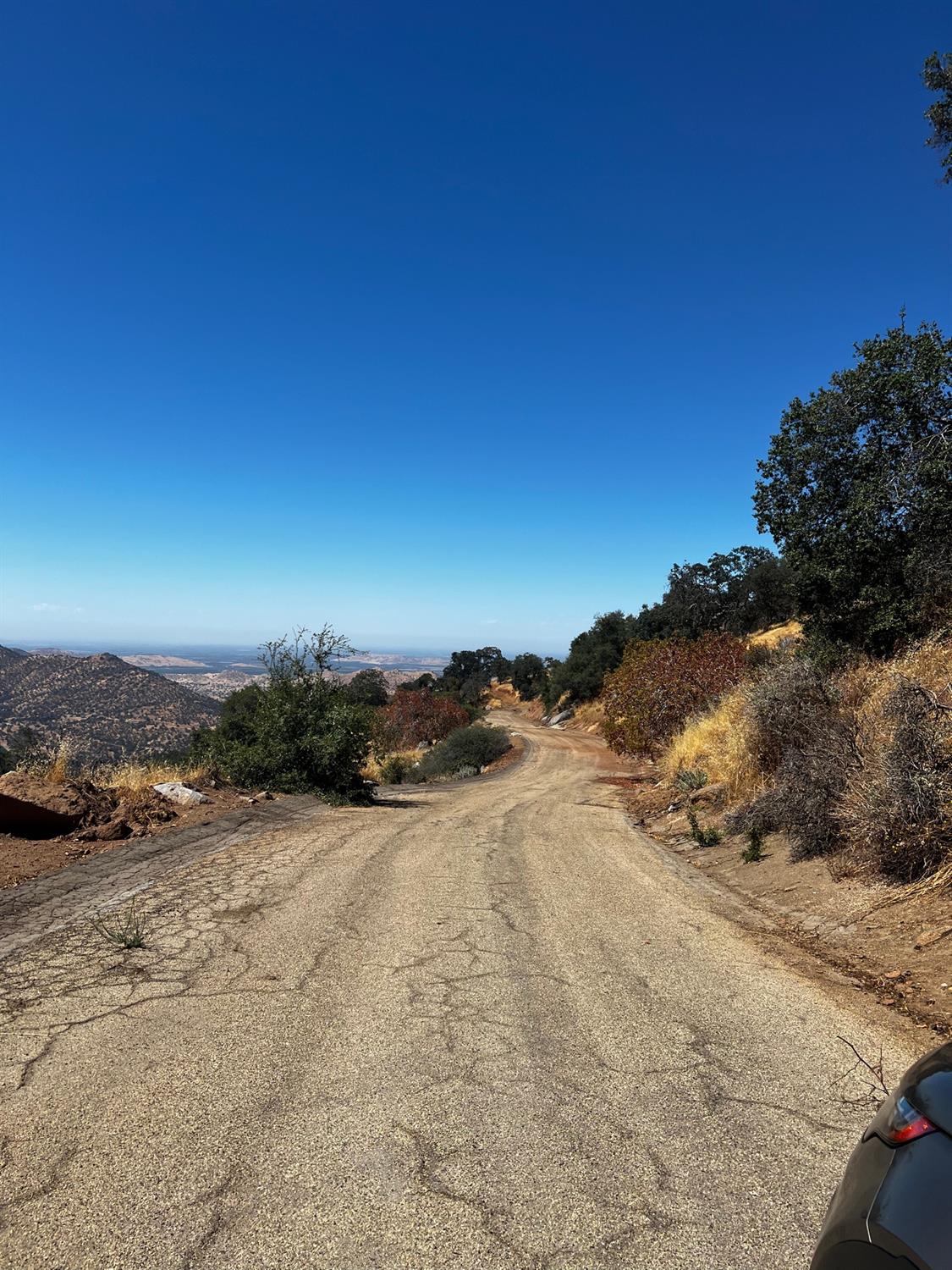 Spearmint Lane, Squaw Valley, California image 3