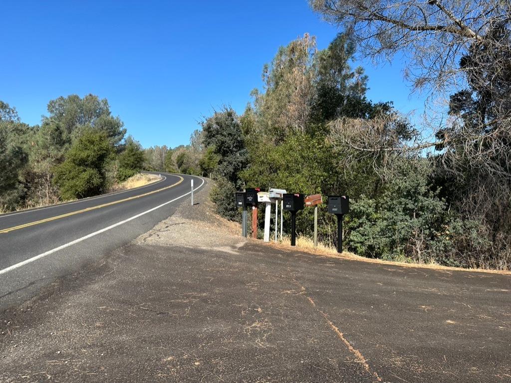 State Highway 132, Coulterville, California image 6