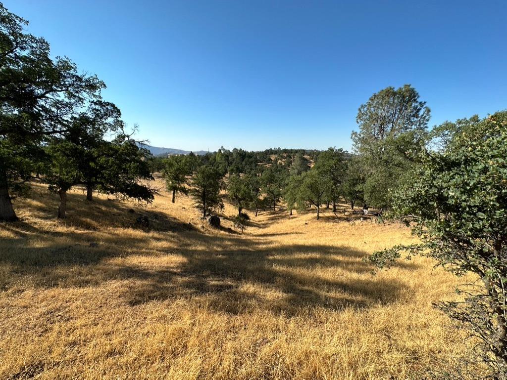 State Highway 132, Coulterville, California image 19