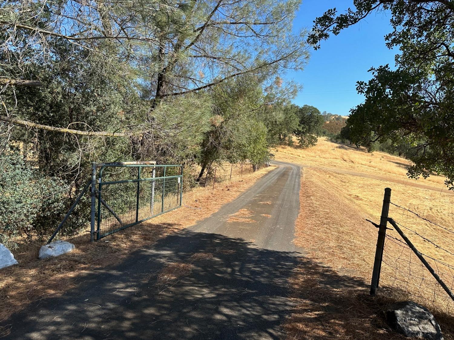 State Highway 132, Coulterville, California image 8