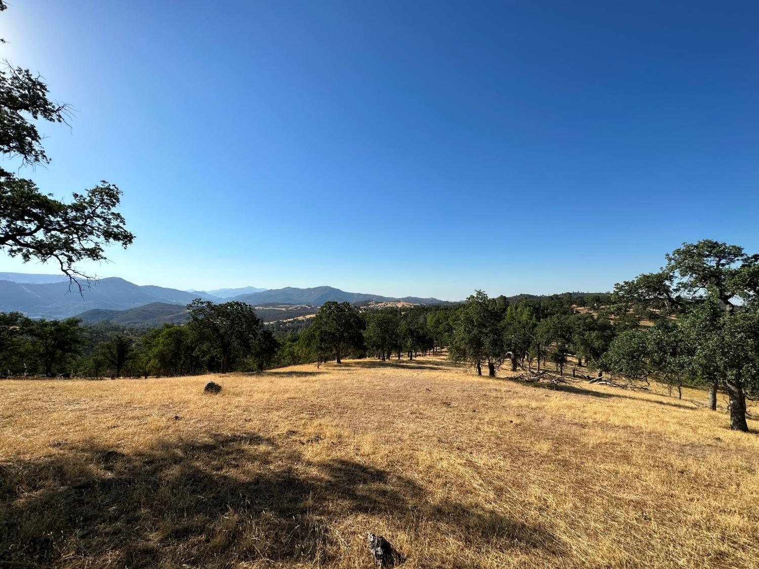State Highway 132, Coulterville, California image 16