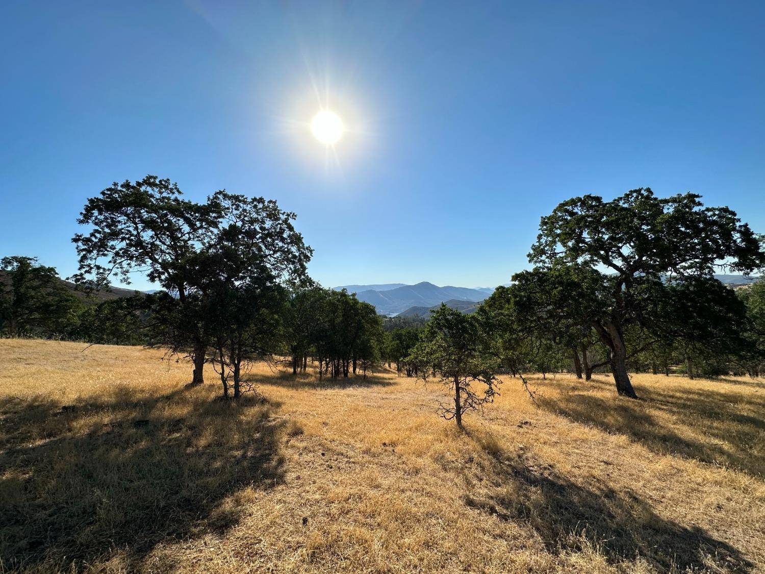 State Highway 132, Coulterville, California image 9