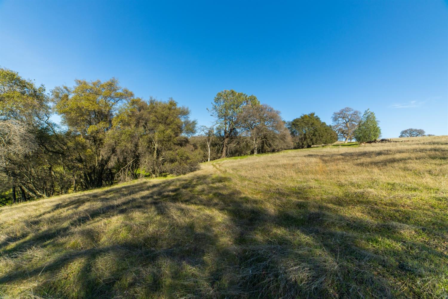 Detail Gallery Image 11 of 44 For 1667 via Veritas, El Dorado Hills,  CA 95762 - – Beds | – Baths