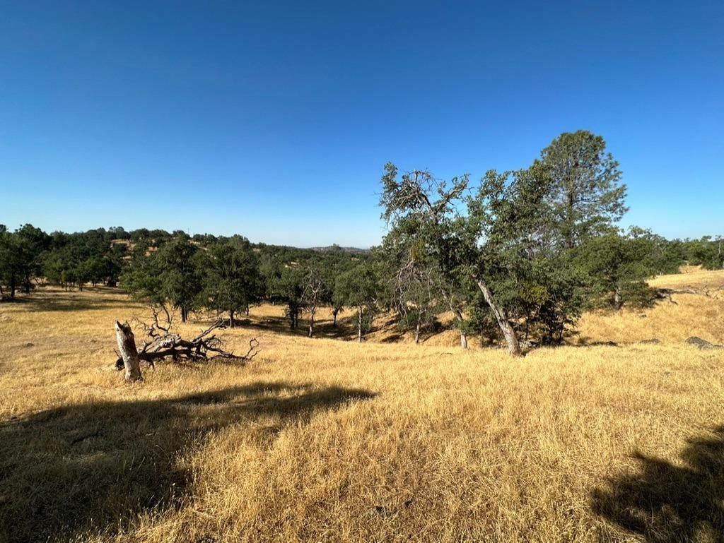 State Highway 132, Coulterville, California image 18