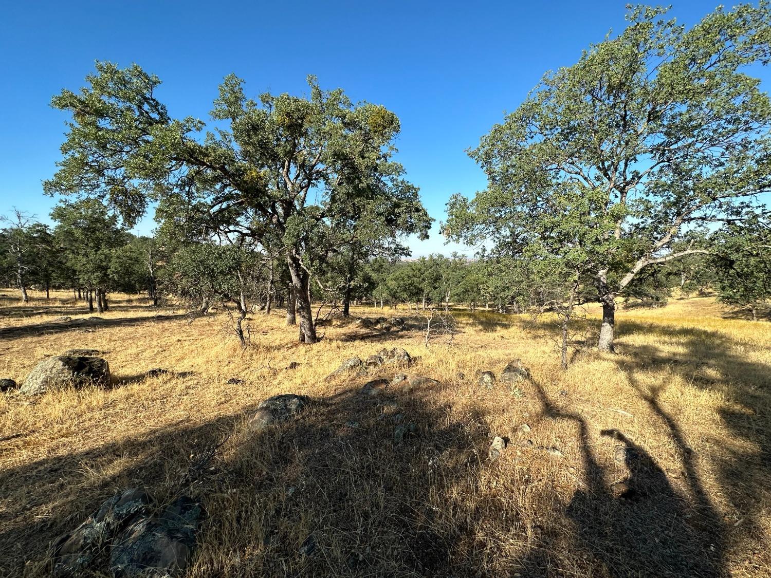 State Highway 132, Coulterville, California image 17