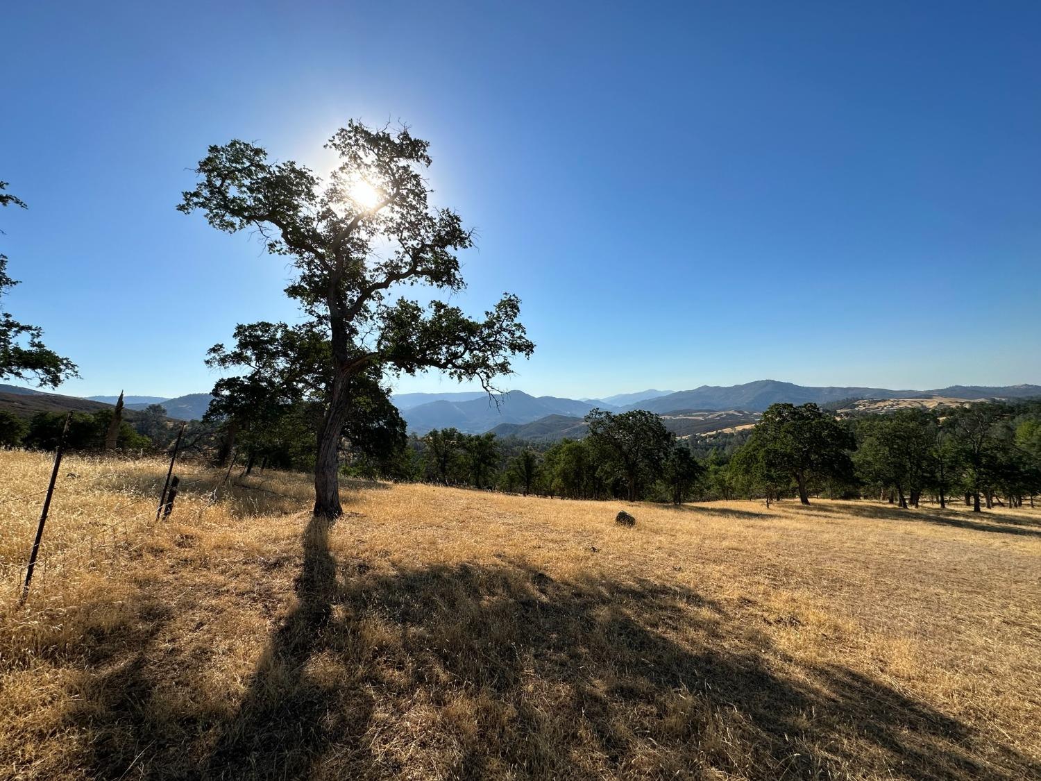 State Highway 132, Coulterville, California image 15