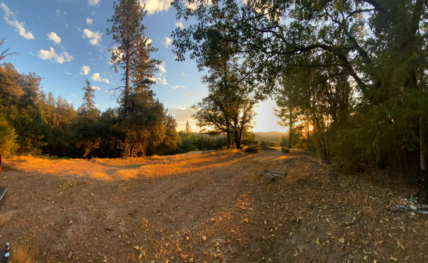 Norton Grade Drive, Colfax, California image 15