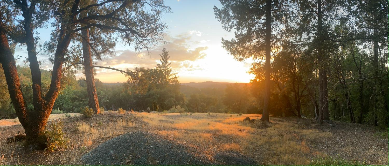 Norton Grade Drive, Colfax, California image 16