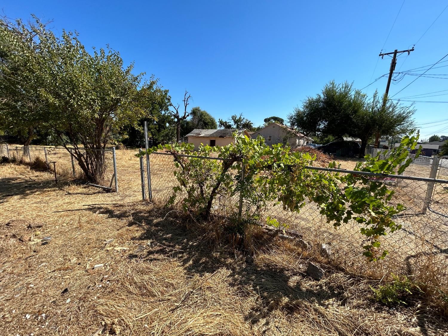 Dodson Avenue, Linda, California image 10