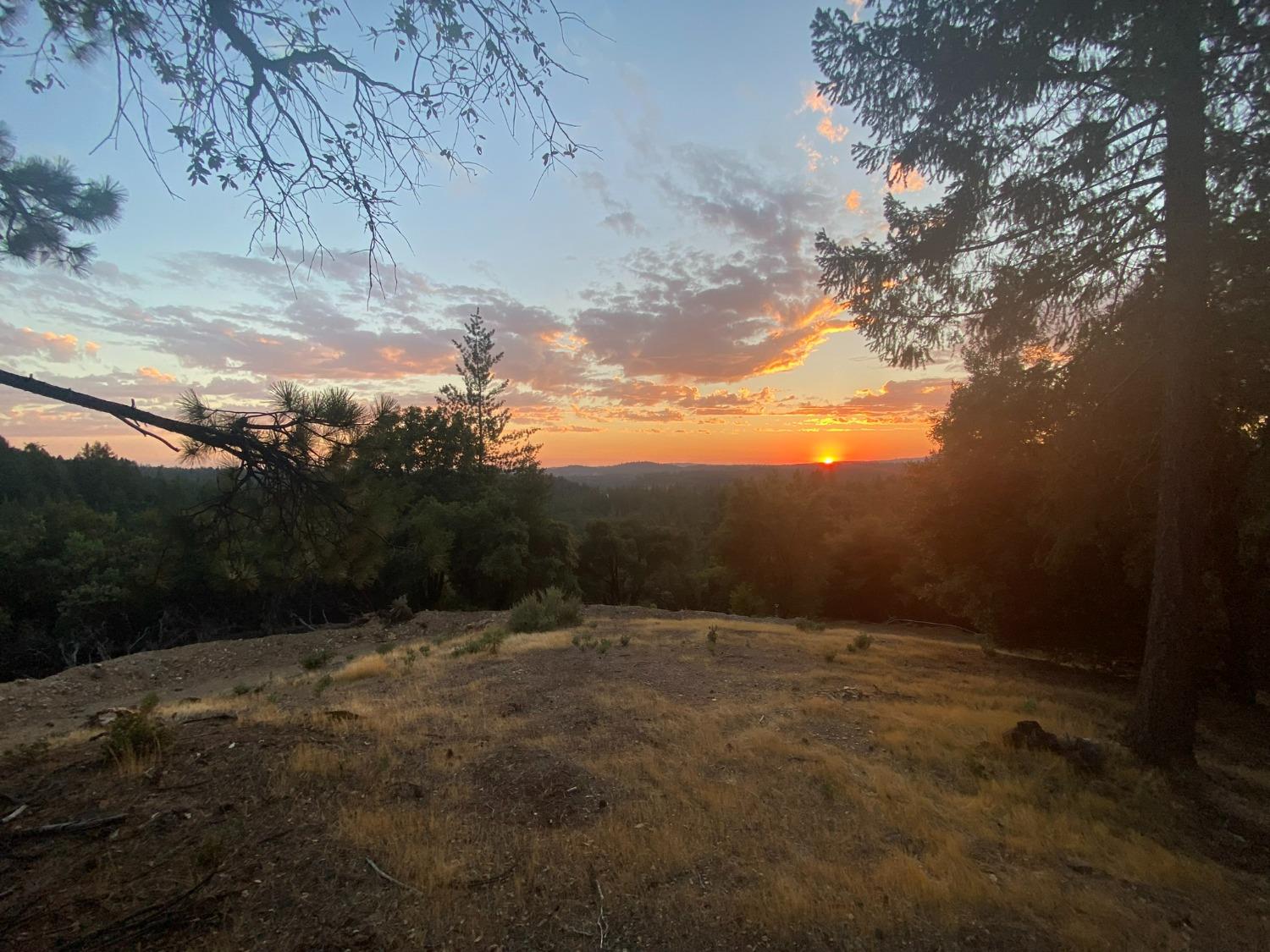 Norton Grade Drive, Colfax, California image 2