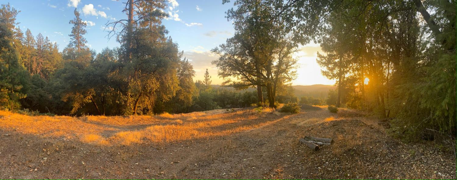 Norton Grade Drive, Colfax, California image 14