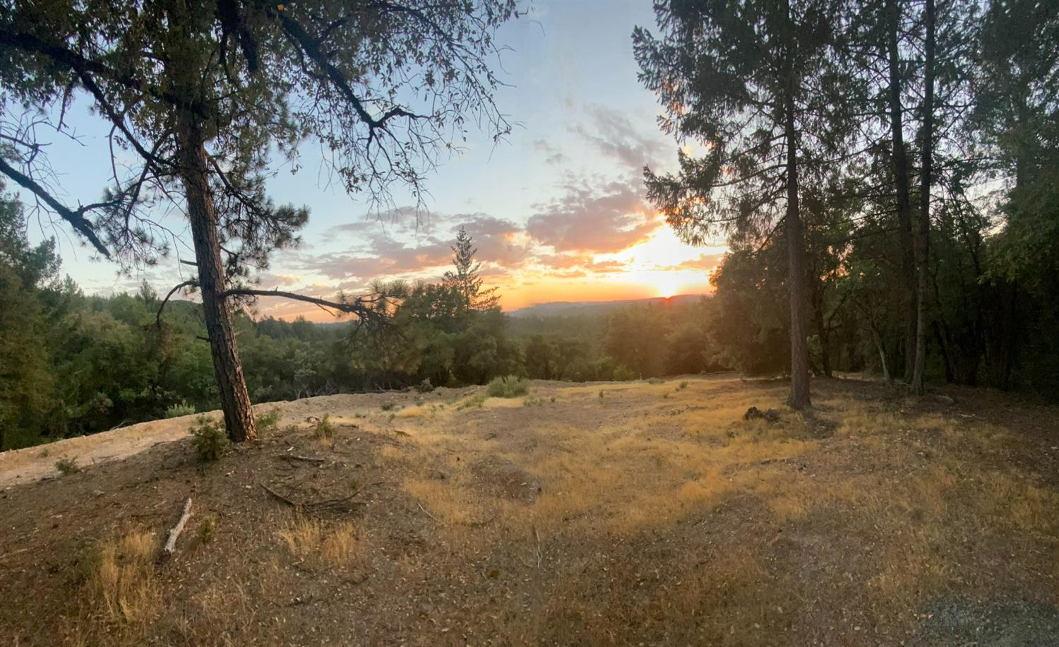 Norton Grade Drive, Colfax, California image 17