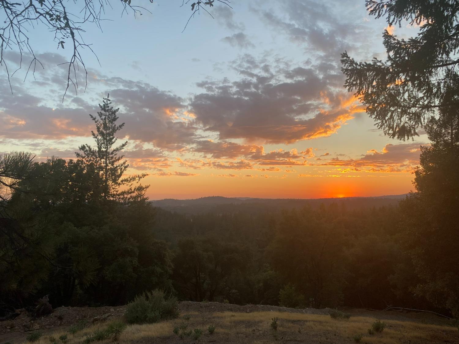 Norton Grade Drive, Colfax, California image 18