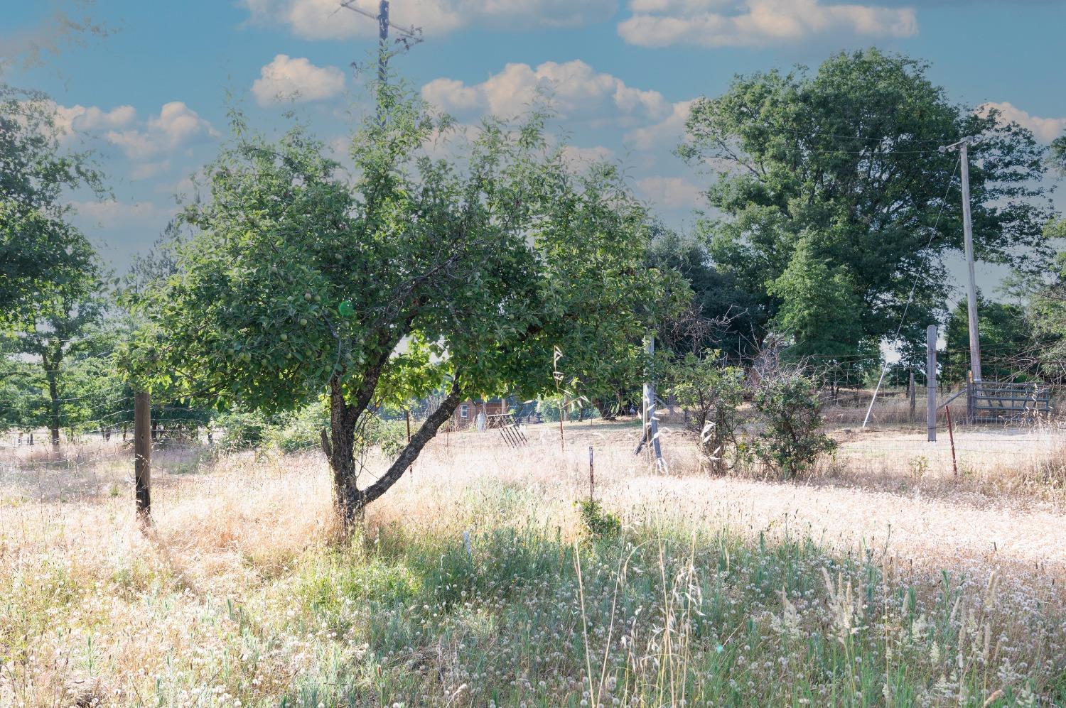 Yuba Ranch Way, Oregon House, California image 48