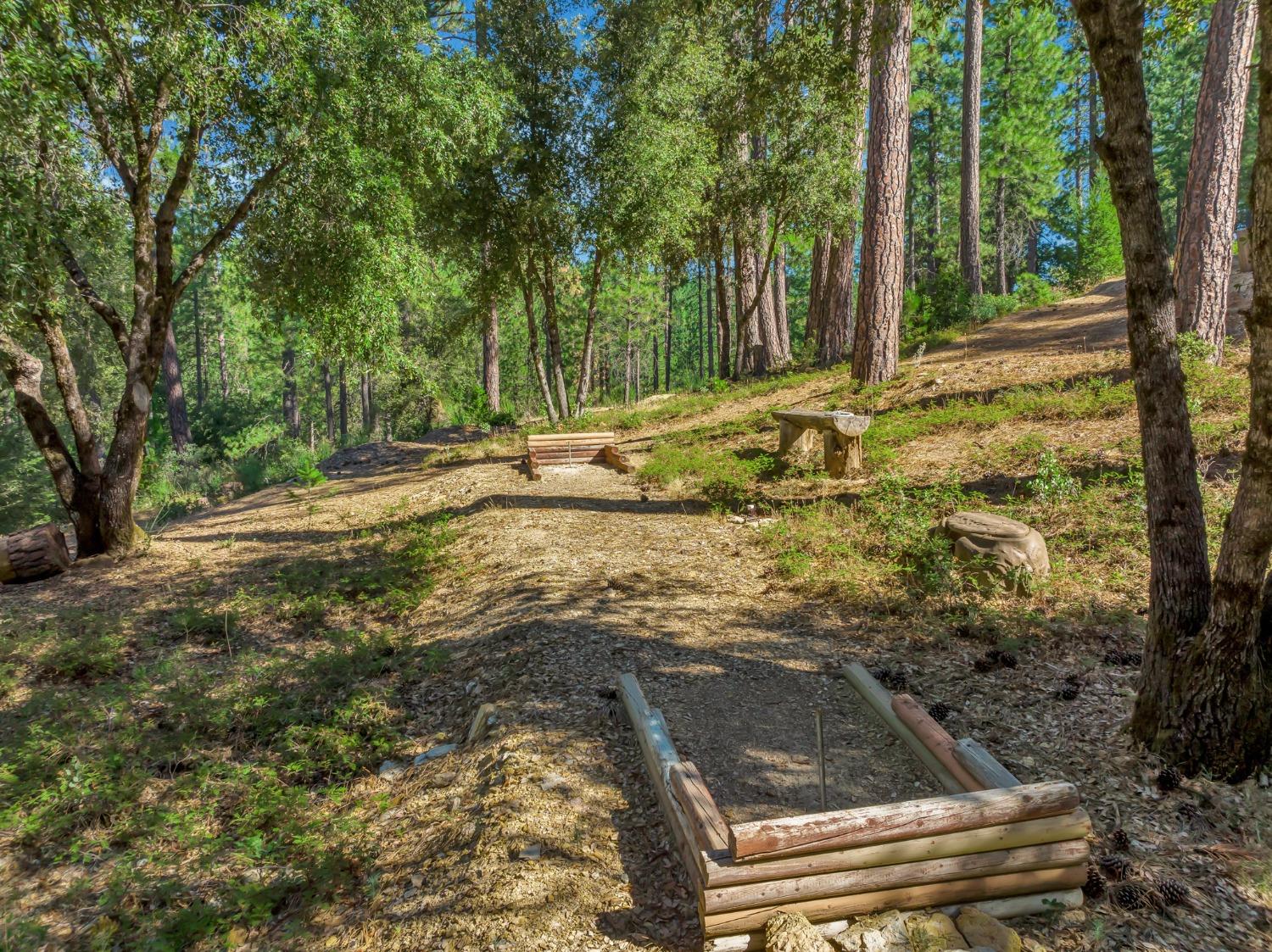 Detail Gallery Image 39 of 45 For 26649 Old Loggers Ln, Colfax,  CA 95713 - 3 Beds | 2/1 Baths