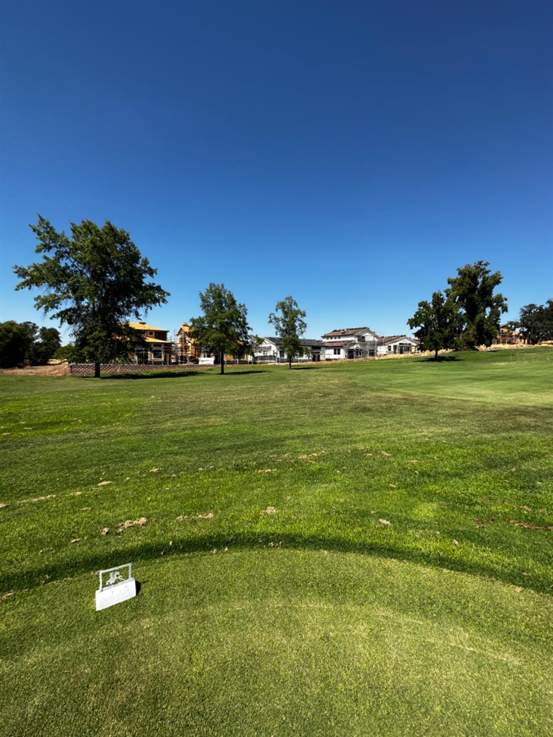 Shaq Street, Rancho Murieta, California image 8