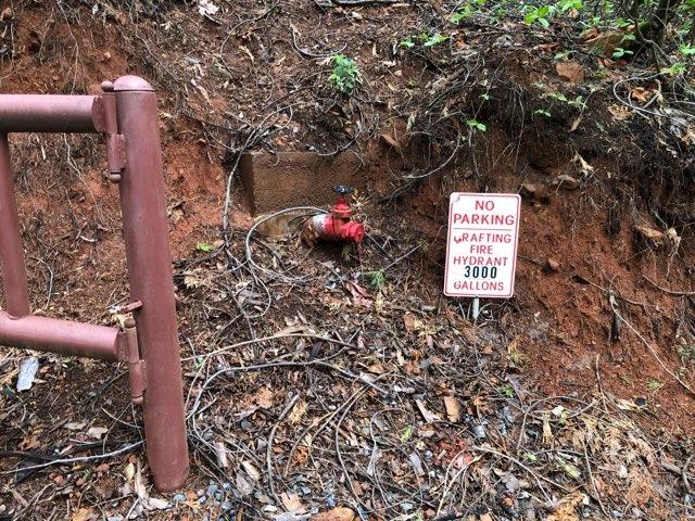 Off Forebay Lane, Pollock Pines, California image 18