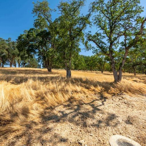 Detail Gallery Image 10 of 11 For 6583 Western Sierra Way, El Dorado Hills,  CA 95762 - – Beds | – Baths