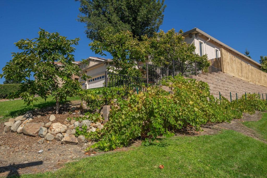 Listowe Drive, Folsom, California image 7