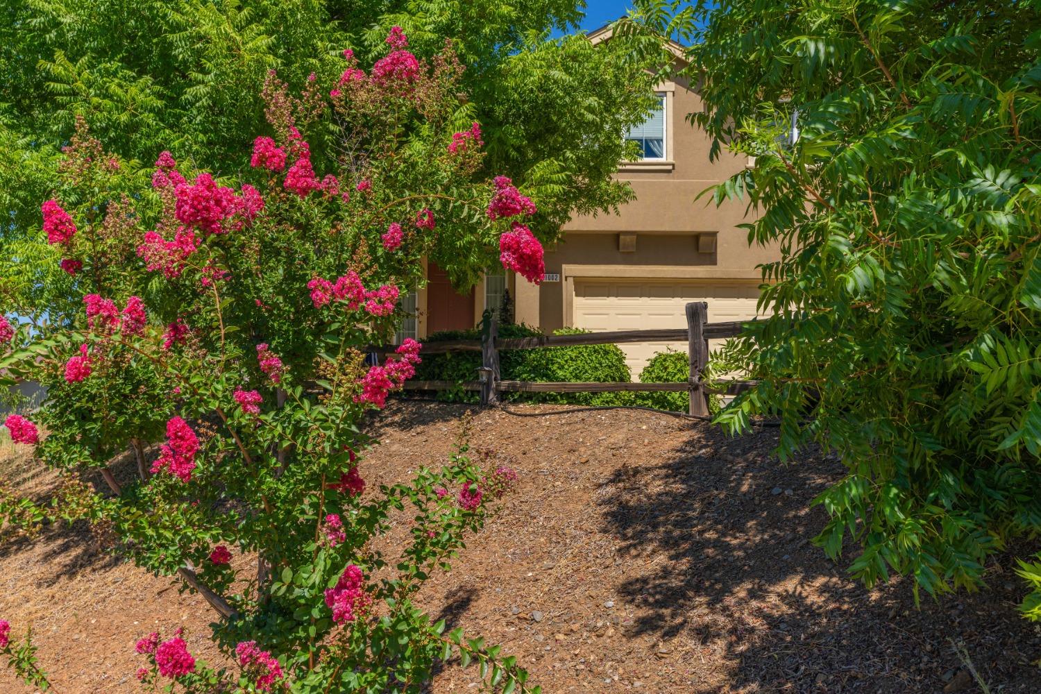 Stelte Court, Angels Camp, California image 29