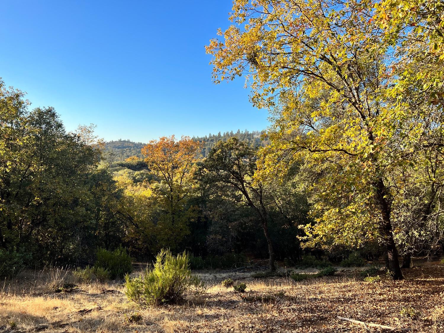 Photo of 15045 Ponderosa in Auburn, CA