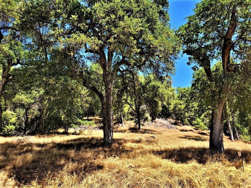 Photo of 9 Raccoon Rd in Placerville, CA