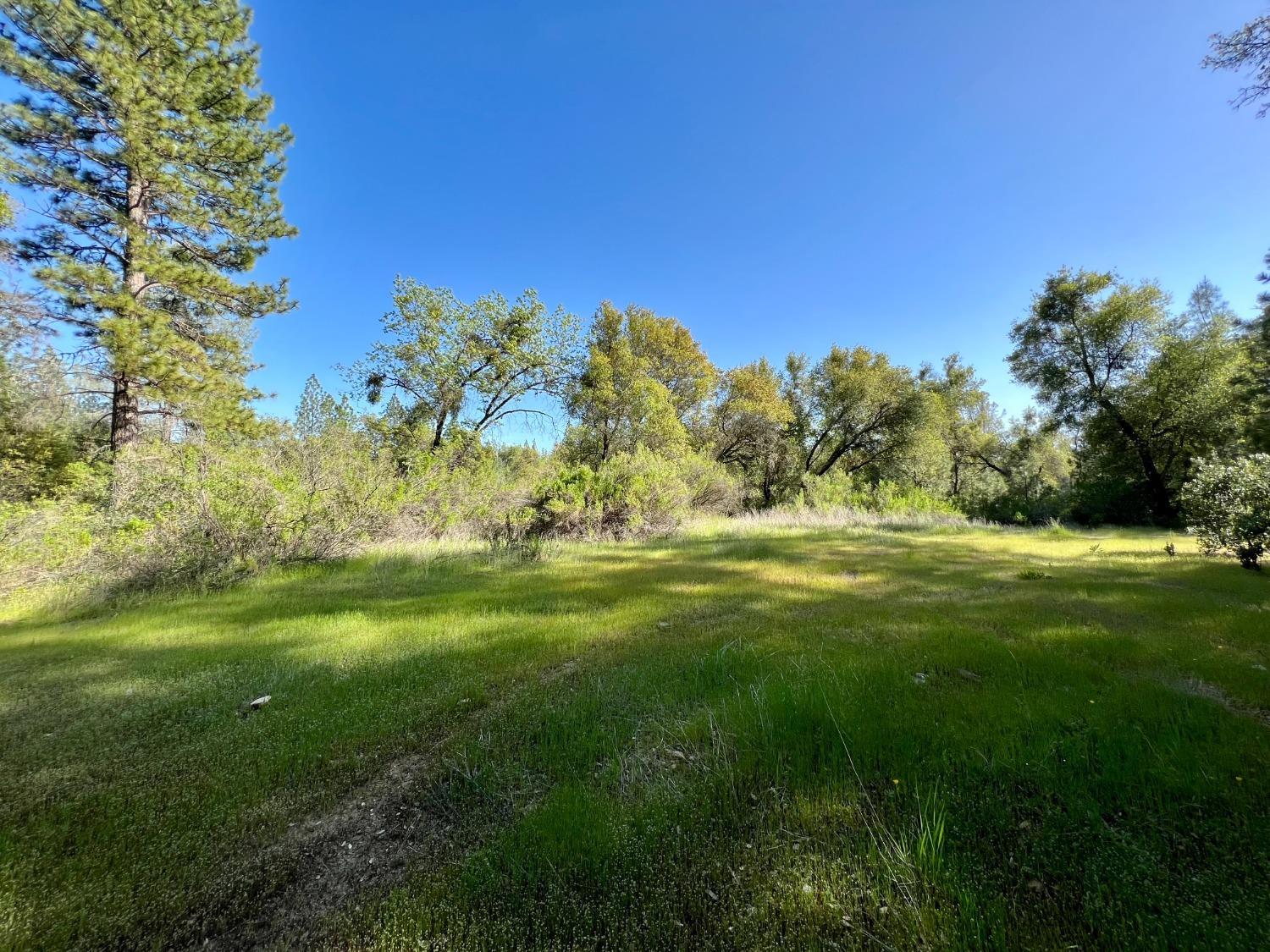 Photo of 73 Wolverine Ln in El Dorado, CA