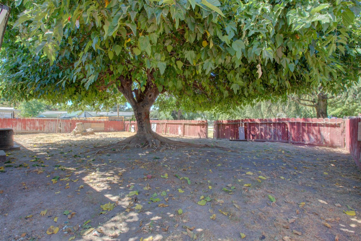 1st Street, Atwater, California image 5