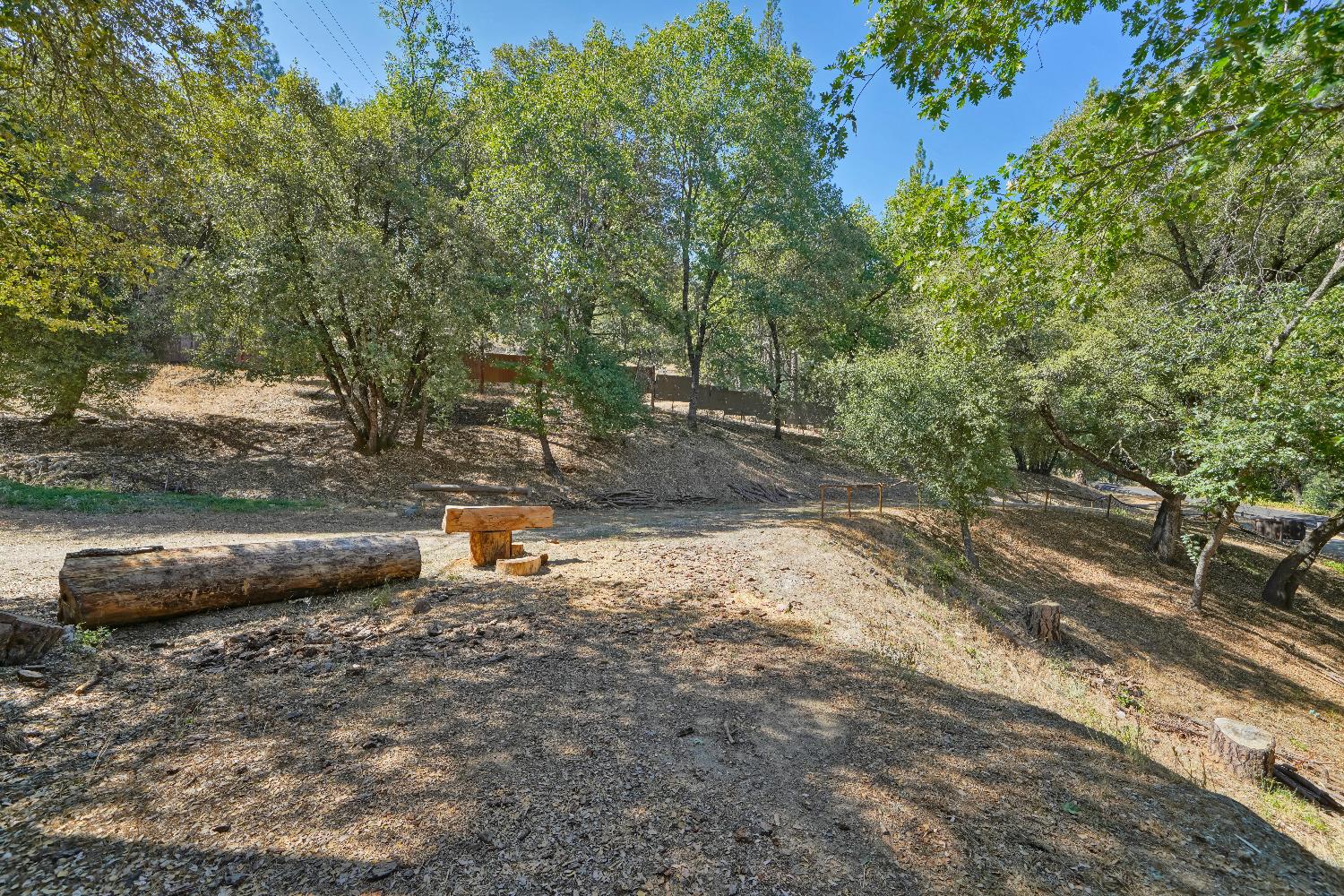 Bucks Bar Road, Placerville, California image 17