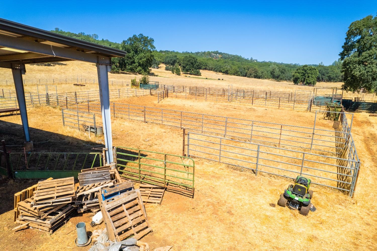 Semor Drive, Shingle Springs, California image 11