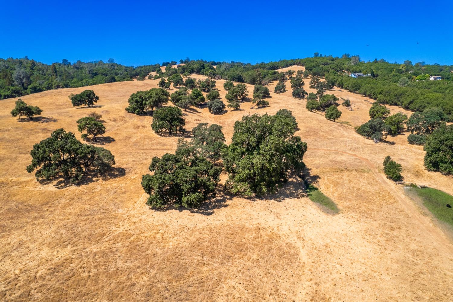 Semor Drive, Shingle Springs, California image 29