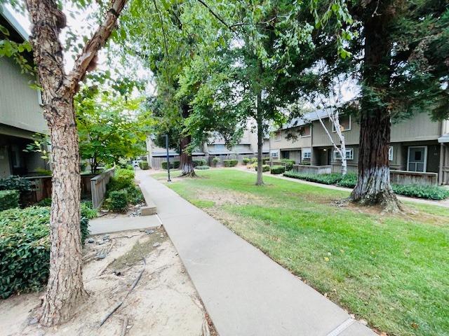 Photo #10: 223084219 Listing 